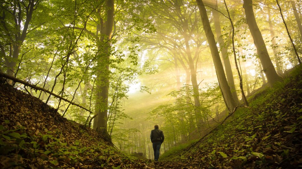 August 29 – Pilgrim hope in death