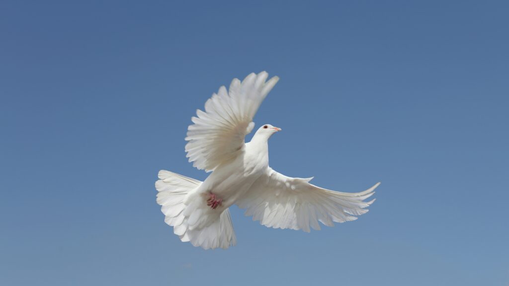 September 19 – Our peace