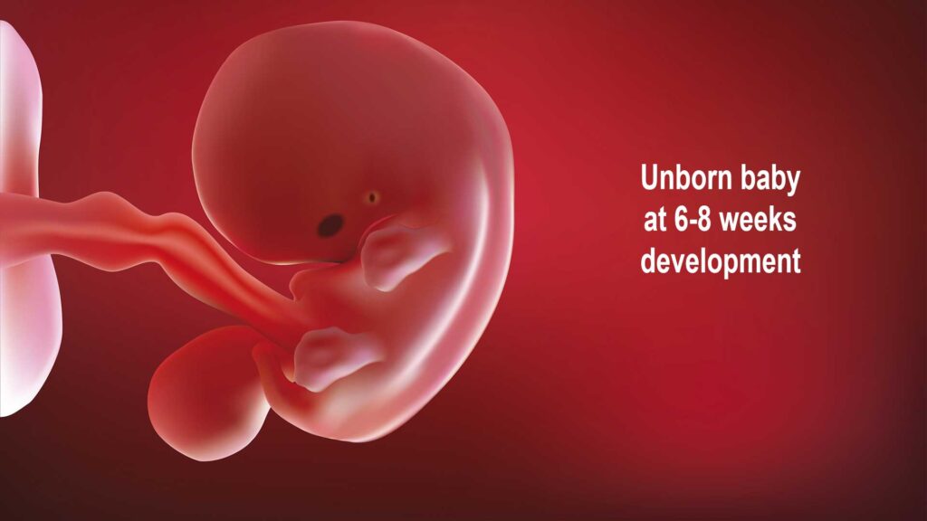Pro-life incrementalism isn’t immoral…but it can be dangerous