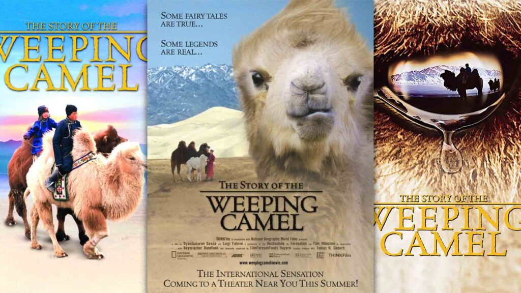 The Story of the Weeping Camel