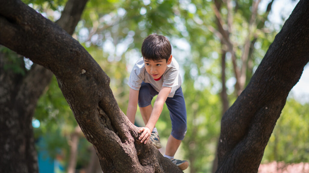 The importance of risky play