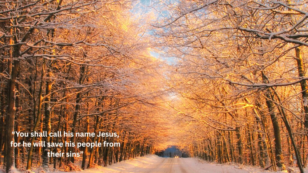 December 13 – A Saviour