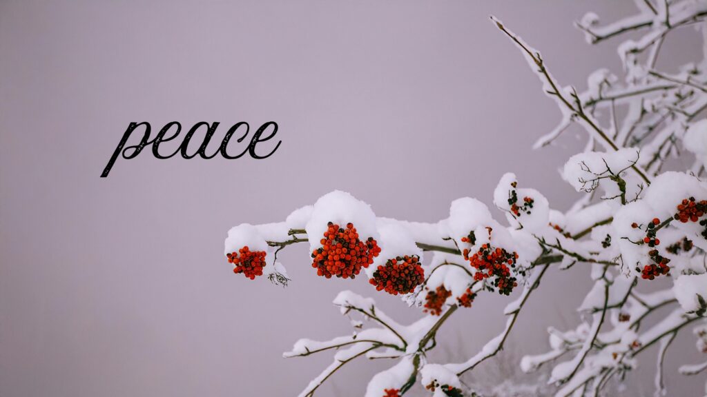 December 18 – Peace on earth