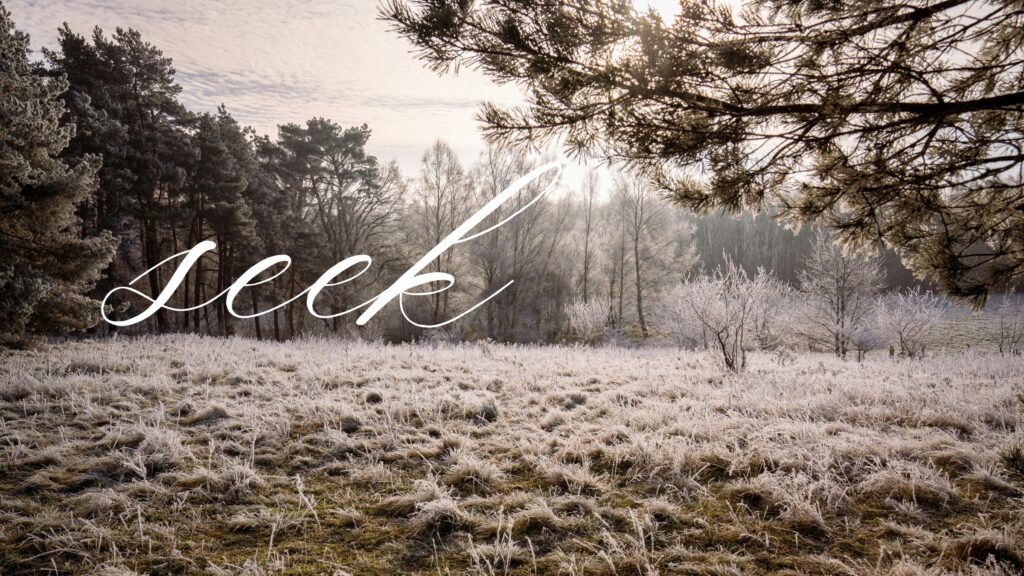 December 20 – Those who seek will find
