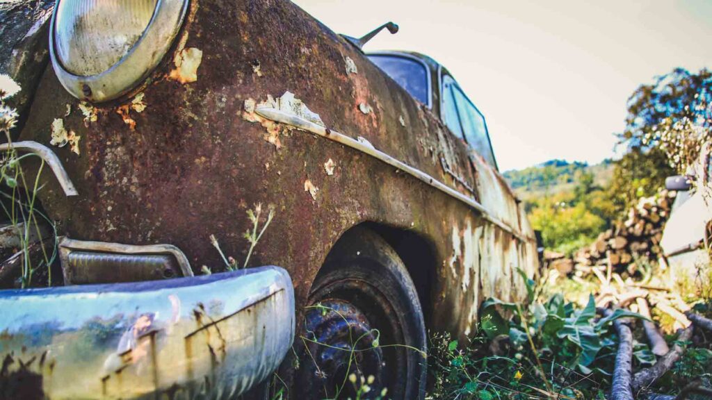 Moth and rust resolutions