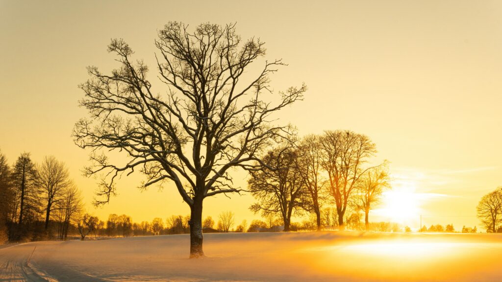 January 18 – All things