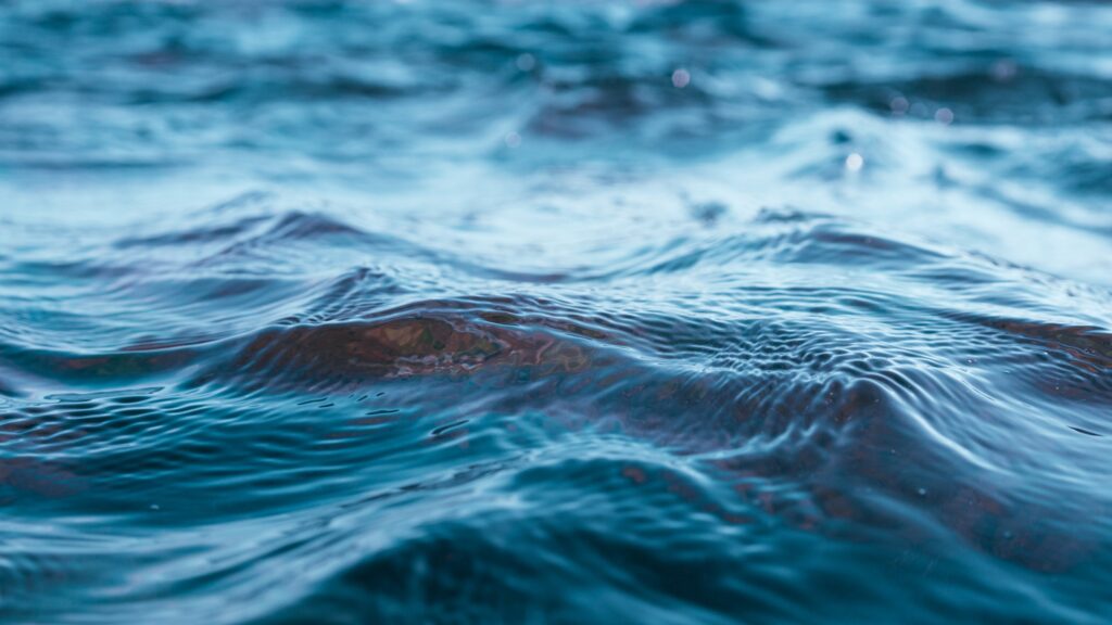 February 3 – Living water in Jericho