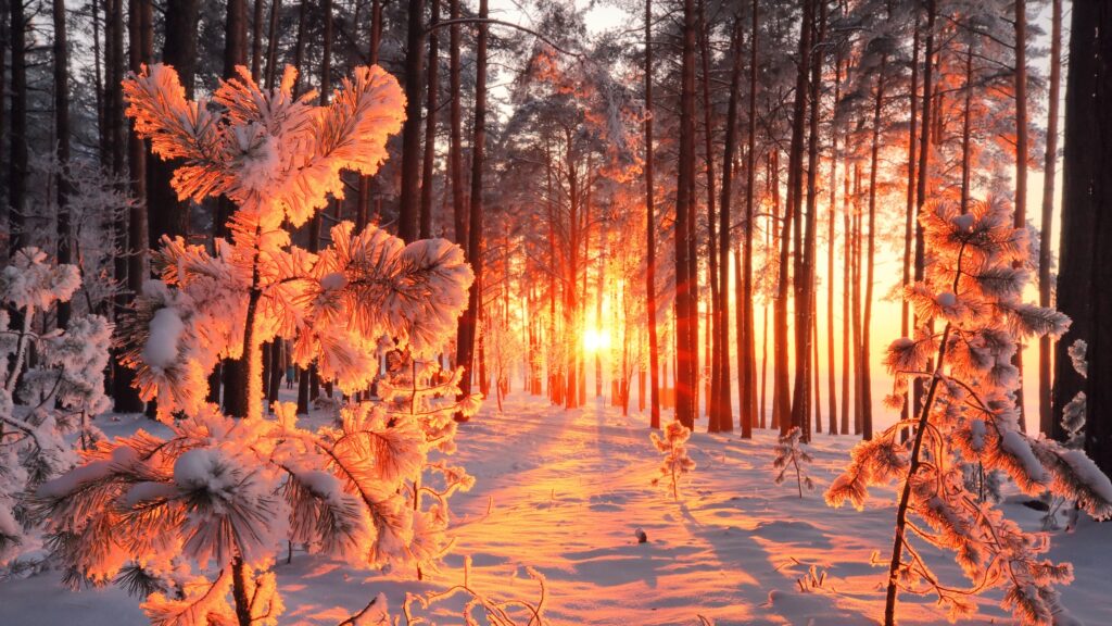 January 3 – Only comfort in life