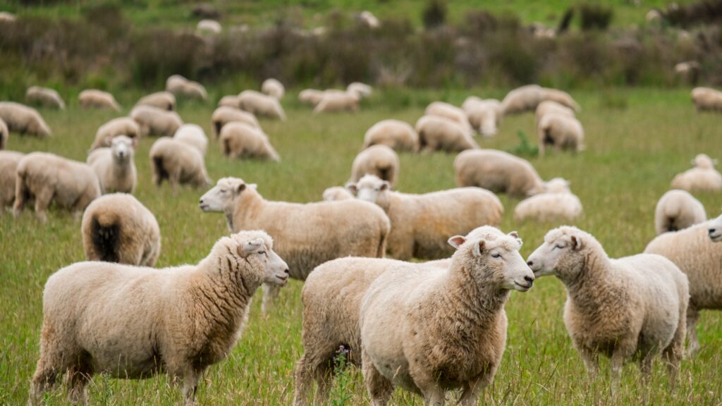 April 21 – What is a sinner to do?