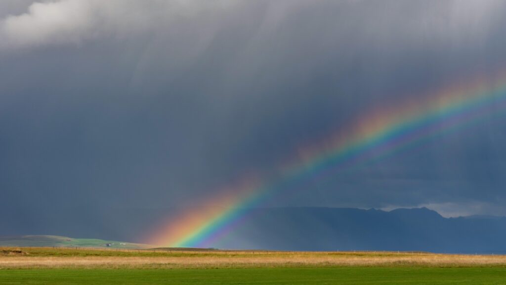 March 10 – God’s covenant with Noah (II)