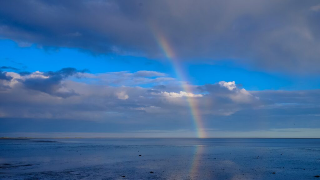 March 13 – God’s covenant with Noah and creation