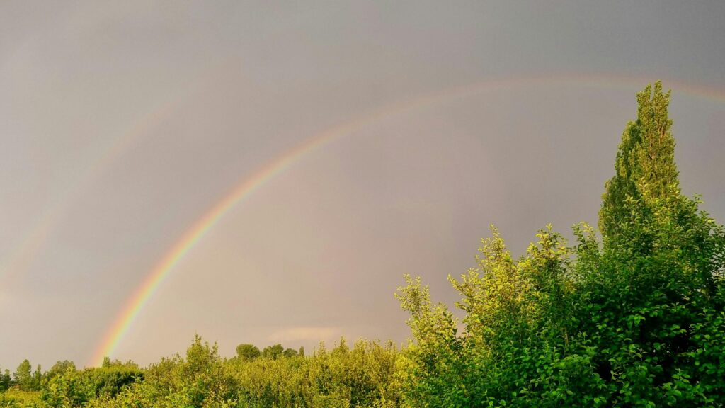 March 14 – The rainbow as a sign of the goal of God’s creation