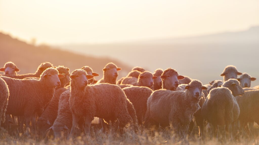 May 26 – Biblical leadership