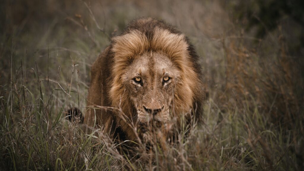 May 30 – Your adversary