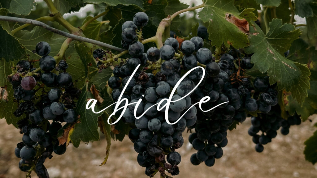 June 3 – Abide in me