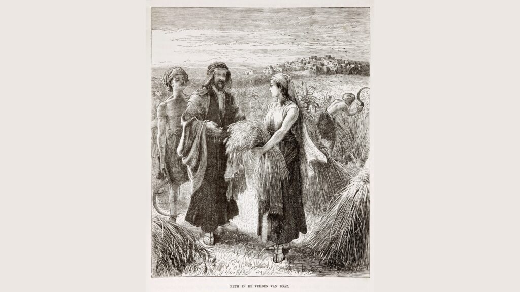 July 14 – Gleaning (III)