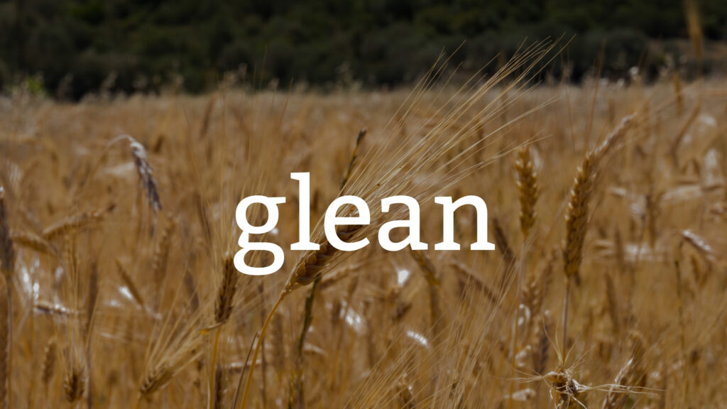 July 12 – Gleaning (I)