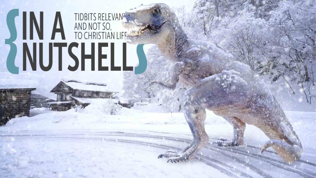 Tidbits – July 2026