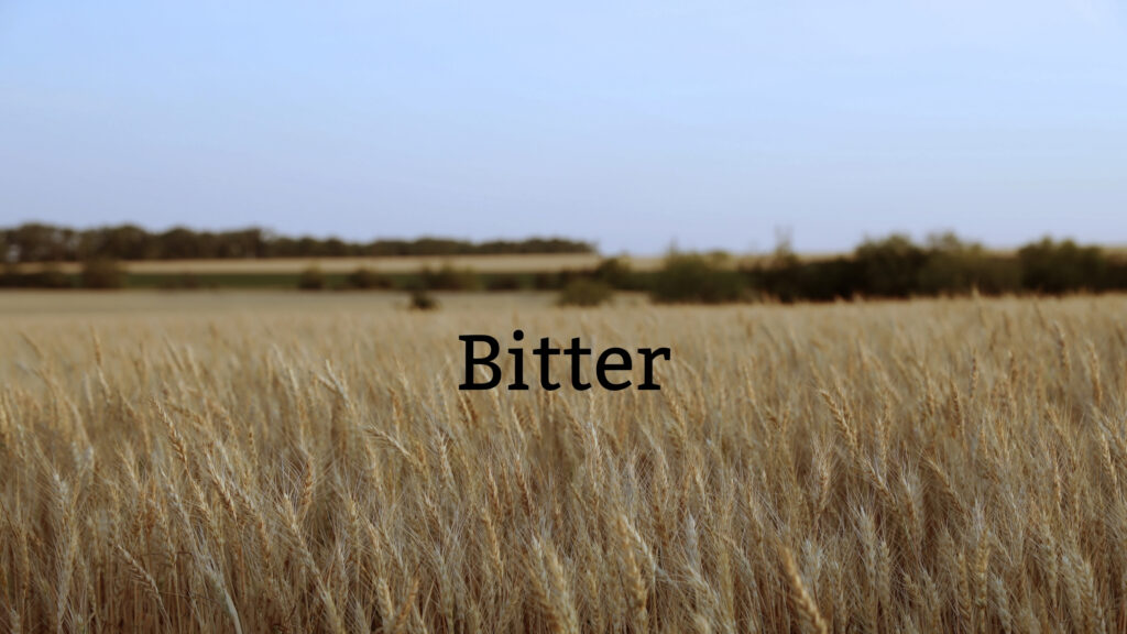 July 7 – She’s returned