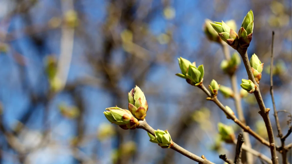 October 17 – Grow in grace